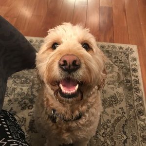 Meet your Posher, Tina